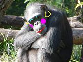 The apes of faith profile picture