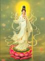 kuan yin profile picture