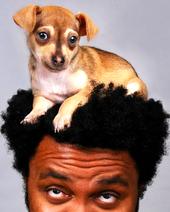 TLC Pet Photography profile picture
