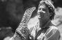 Steve Irwin Memorial Page profile picture