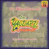 Grupo Yaguaru profile picture