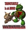 TriniTurtle profile picture