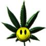 ganja profile picture