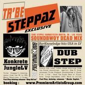 Tribe Steppaz Soundsystem profile picture