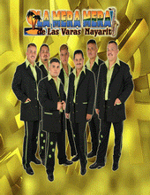 BANDA LA MERA MERA DE LAS VARAS NAYARIT profile picture