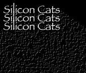 Silicon Cats profile picture