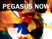 Pegasus Now profile picture