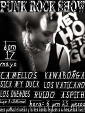 PUNK ROCK SHOW DOM 17 DE MAYO profile picture