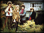 The Soft Machine profile picture