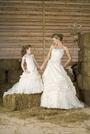 Find your dream wedding gown... at Emerald Bridal! profile picture