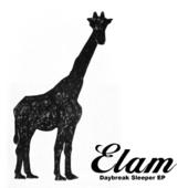 elam profile picture