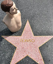 Torso profile picture