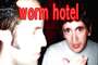 Worm Hotel profile picture