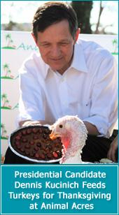 Animal Lovers for Dennis Kucinich-IntegrityNow.org profile picture