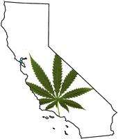 California Cannabis Hemp & Health Initiative 2 profile picture