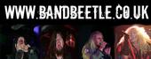 Bandbeetle.co.uk -Booking bands for new live venue profile picture