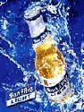 San Miguel Beer profile picture