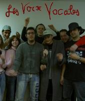 Les Voix Vocales profile picture