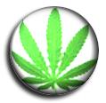 legalize it! profile picture