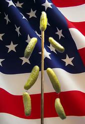 Sam the Patriotic Pickle Man profile picture