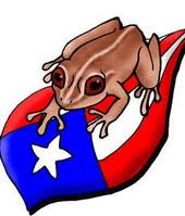 BORICUA CORAZON profile picture