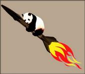 Rocket Panda profile picture