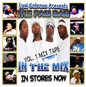 Fam Bam Entertainment LUNI COLEONE pr: IN THE MIX profile picture