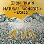 zion train profile picture