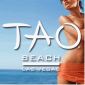 Tao Beach Sundays! profile picture