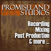 Promiseland Studios profile picture