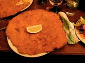 the biggest schnitzel in the universe profile picture