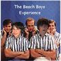 The beach boys experience (new videos up people) profile picture