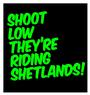 Shoot Low Theyre Riding Shetlands profile picture