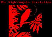 The Nightingale Revolution profile picture