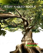 stiff naked fools profile picture