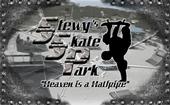 STEWY'S SKATE PARK SPRING HILL FL. profile picture