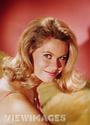 ELIZABETH MONTGOMERY/ BEWITCHEDTV/ FAN PAGE profile picture