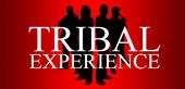 Tribal Experience profile picture