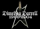 fallen_hero_dimebag