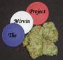 The Mirvin Project profile picture