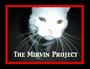 The Mirvin Project profile picture