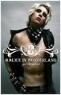 Malice in Wonderland profile picture