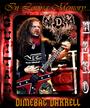 Tribute To Dimebag Darrell profile picture