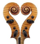 The Violin Shop profile picture