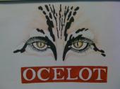 ocelot profile picture