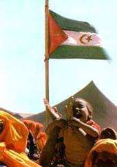 freedomsahara