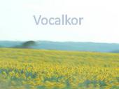 vocalkor profile picture