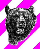 Part Bear profile picture