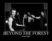 Beyond The Forest profile picture