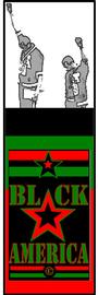 BlackAmericaÂ© profile picture